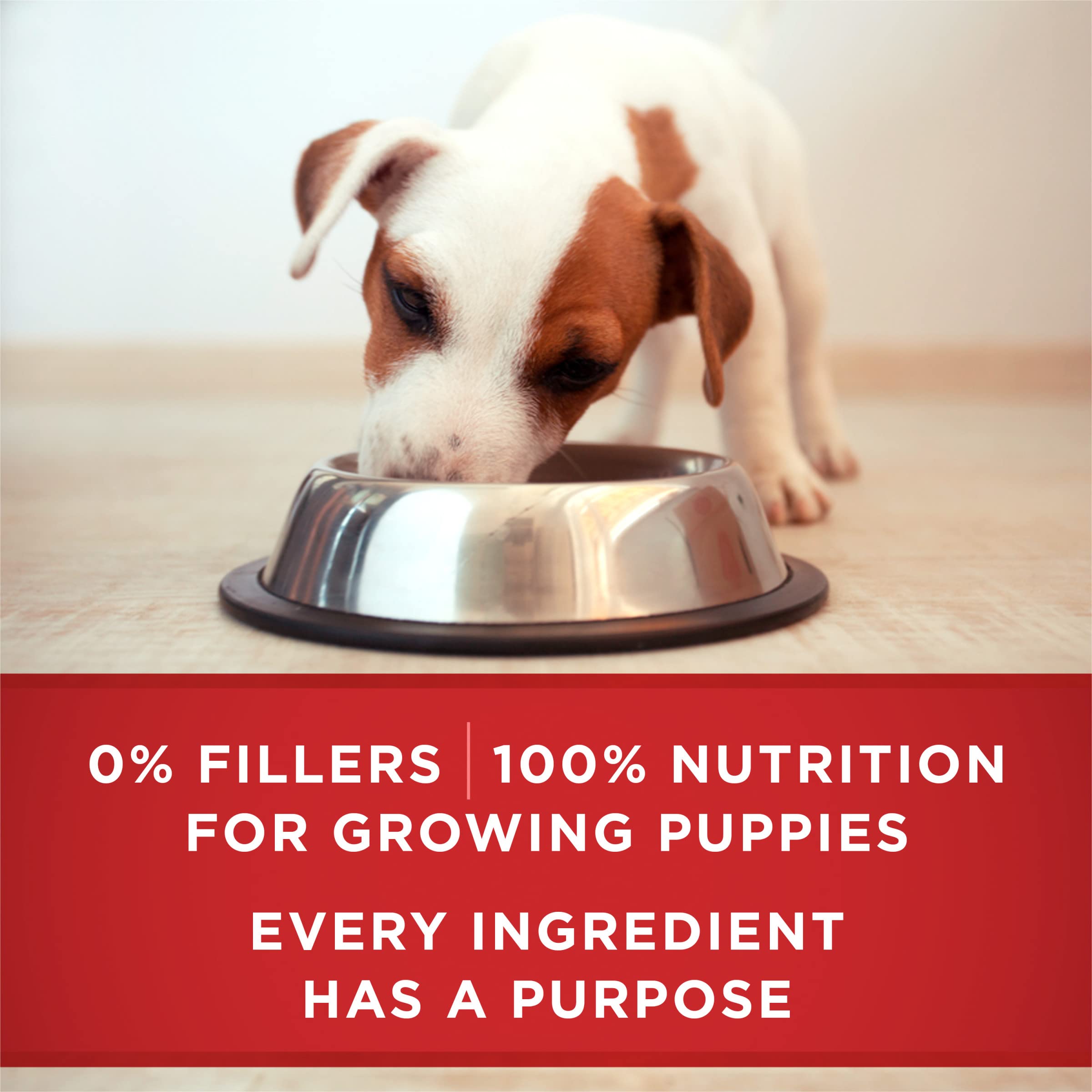 Purina ONE conserve posée près du frigo, suggère conservation pratique