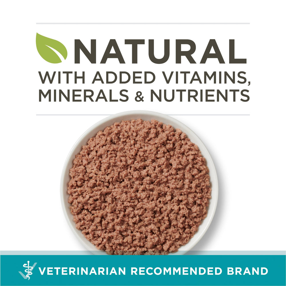Purina ONE contenu ouvert dans une cuillère montrant humidité et qualité