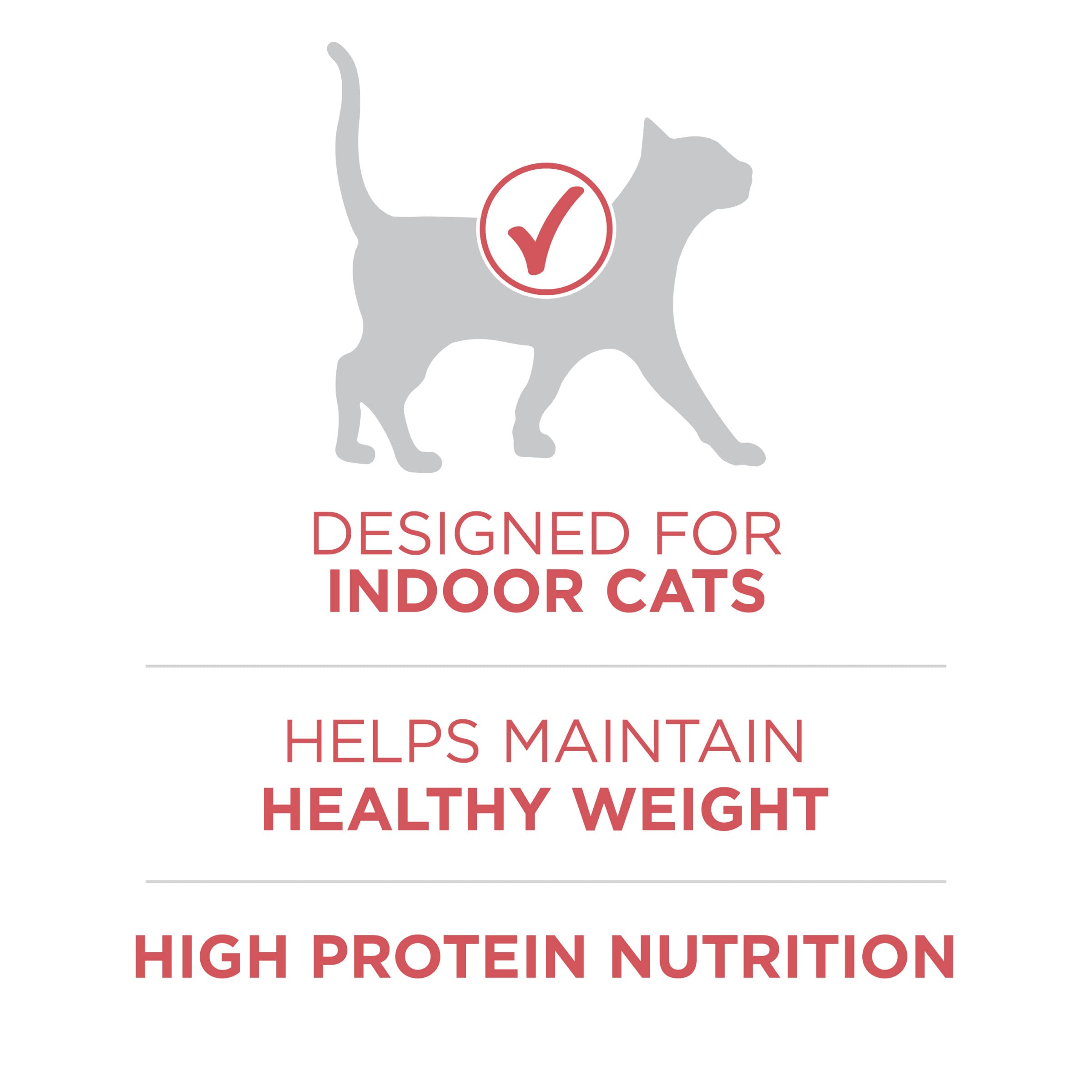 Purina ONE croquette seule illustrant densité protéique pour muscles