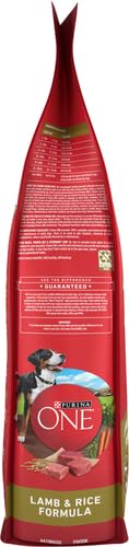 Purina ONE grains de riz en détail pour digestion et énergie