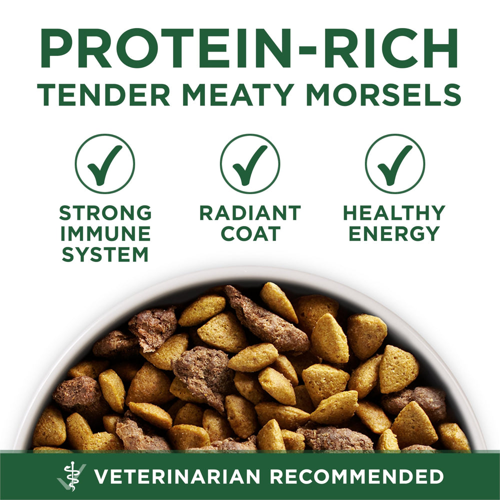 Purina ONE ingrédients agneau et riz présentés comme naturels