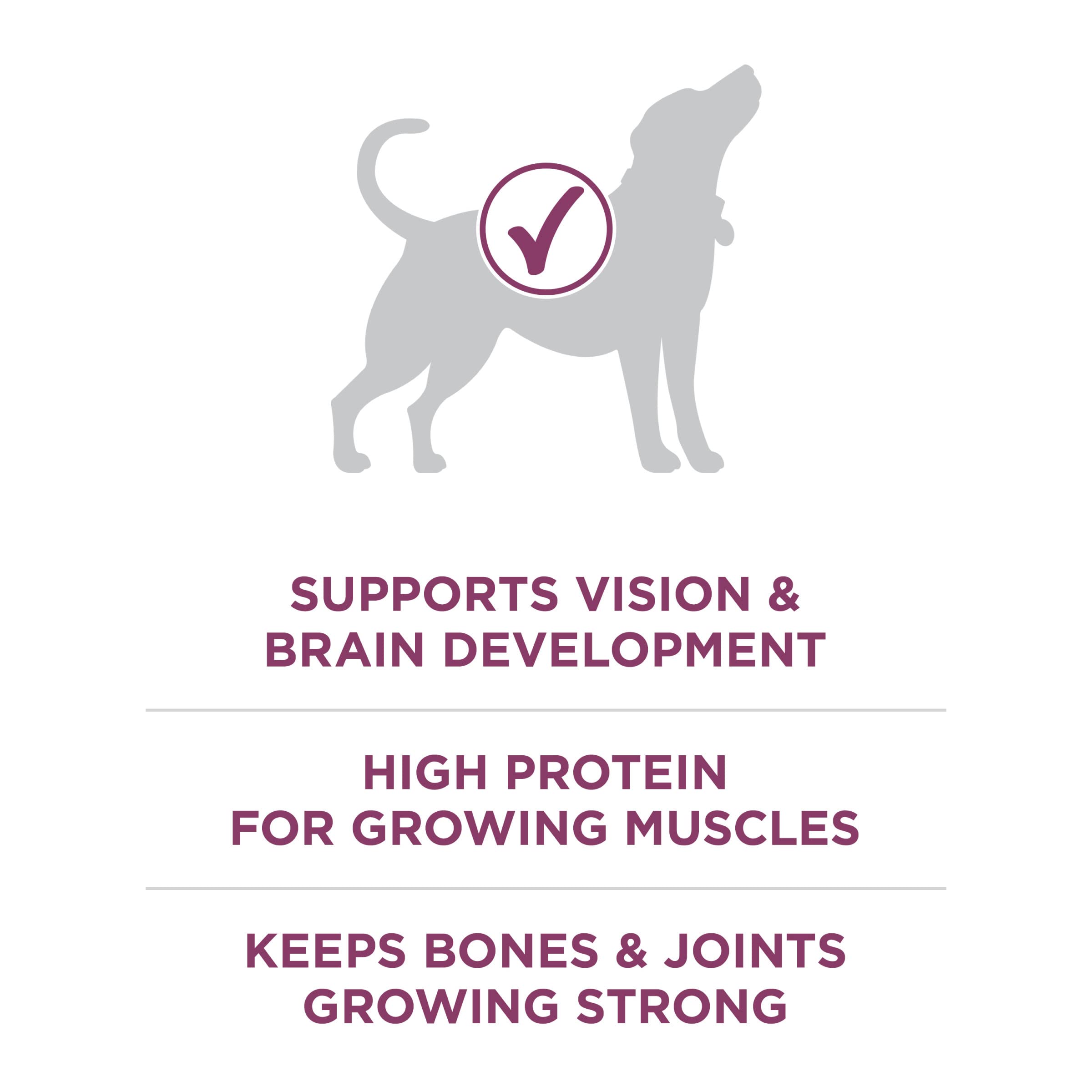 Purina ONE étiquette nutritionnelle claire garantissant ingrédients ciblés
