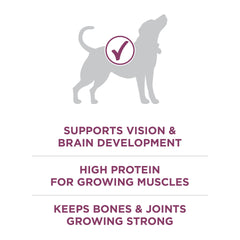 Purina ONE étiquette nutritionnelle claire garantissant ingrédients ciblés