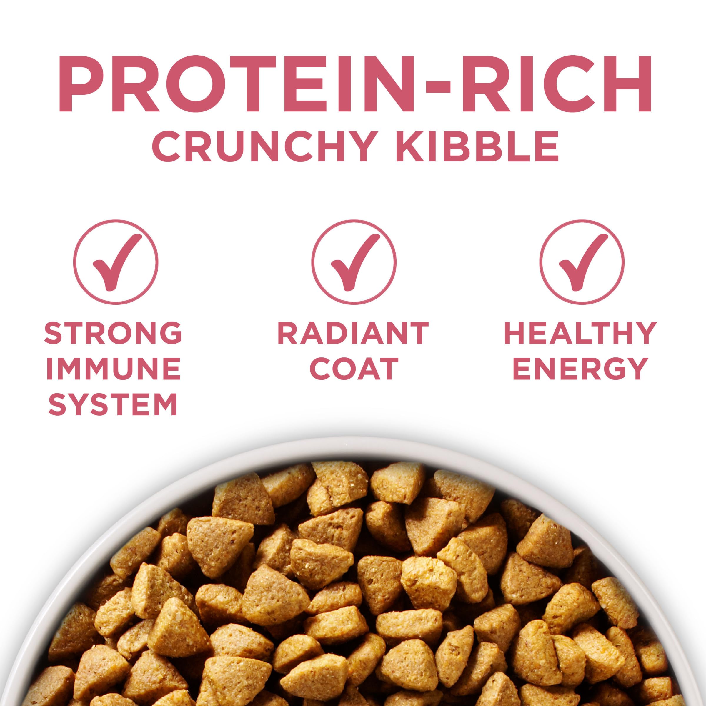 Purina ONE étiquette ingrédients lisible garantissant qualité et transparence