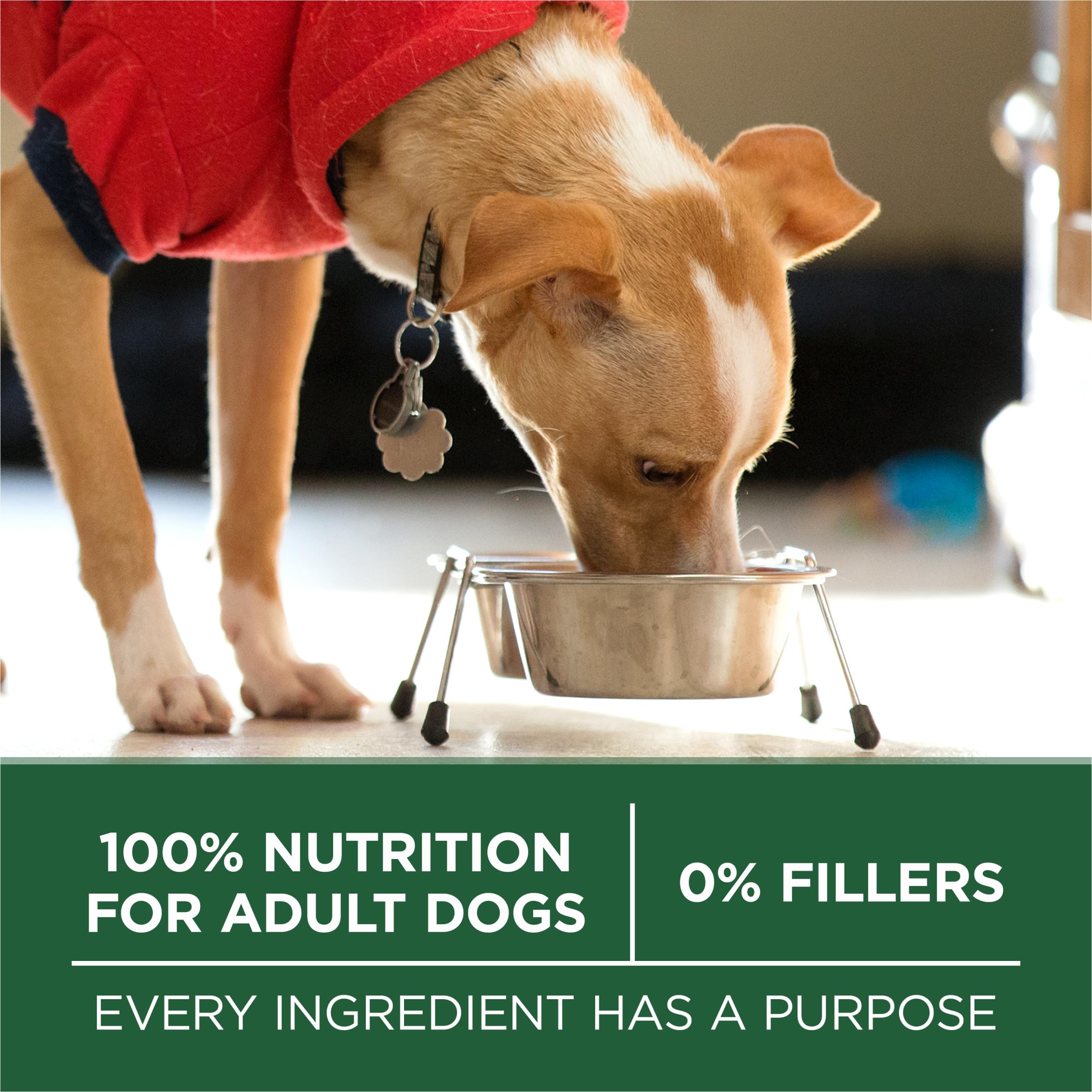 Purina ONE étiquette nutritionnelle détaillée montrant vitamines et minéraux