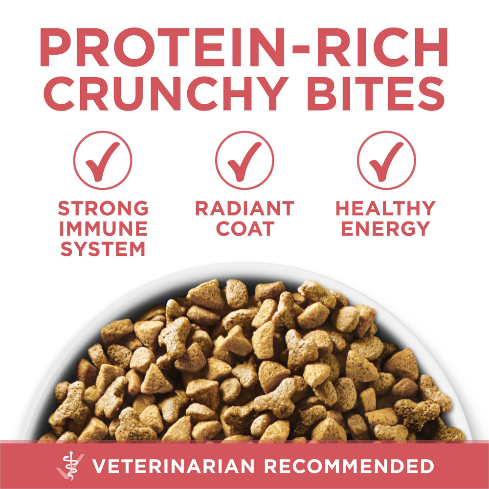 Purina ONE étiquette nutrition détaillée indiquant vitamines et minéraux
