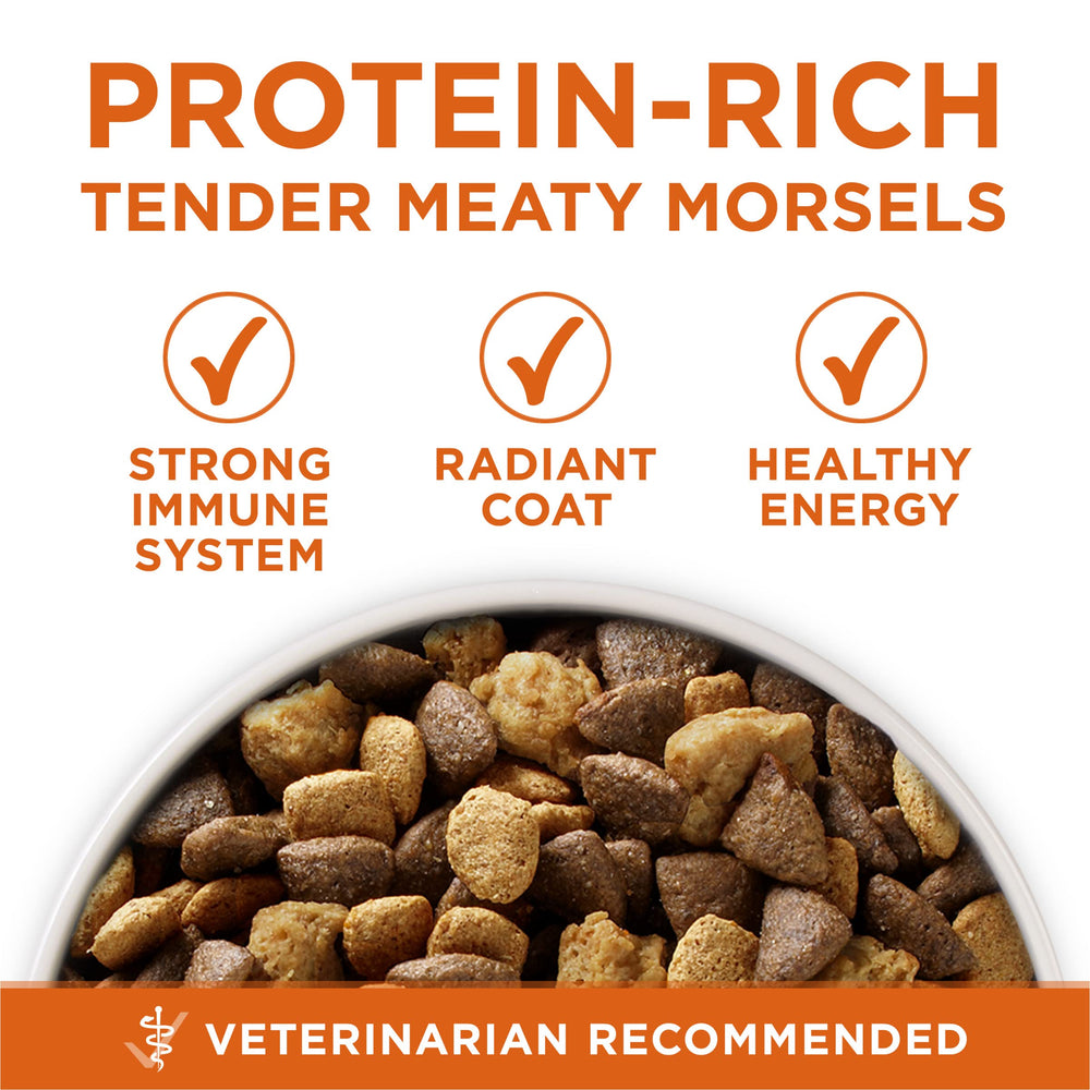 Étiquette Purina ONE valeurs nutritives bénéfices pour peau et pelage