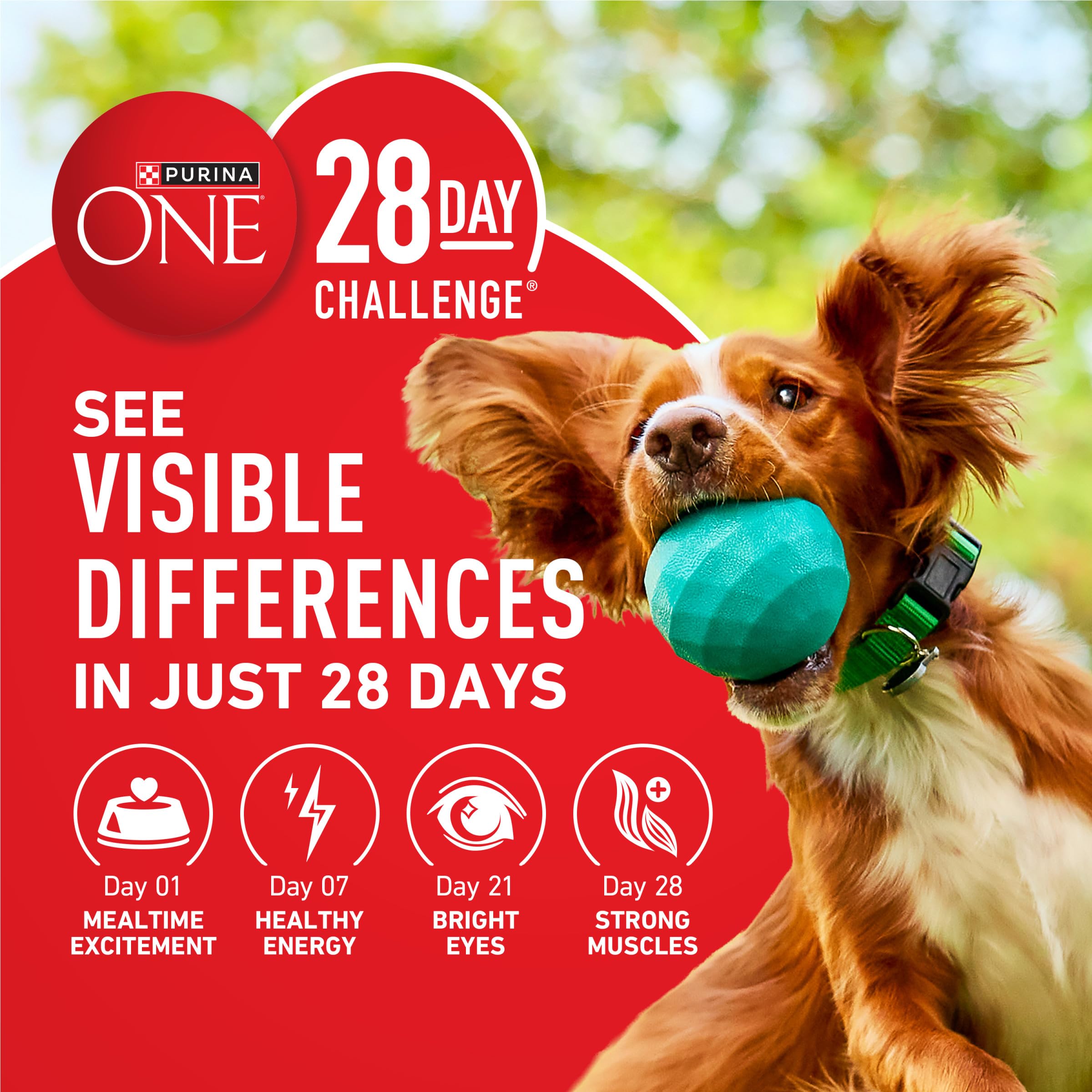 Purina ONE tableau nutritionnel lisible indiquant vitamines et minéraux