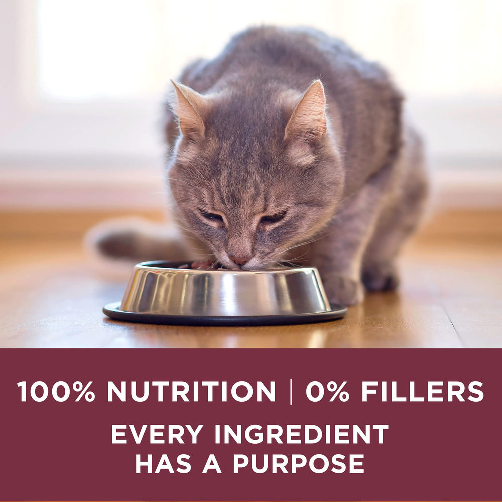 Purina ONE focus sur calcium pour dents plus solides et gencives saines
