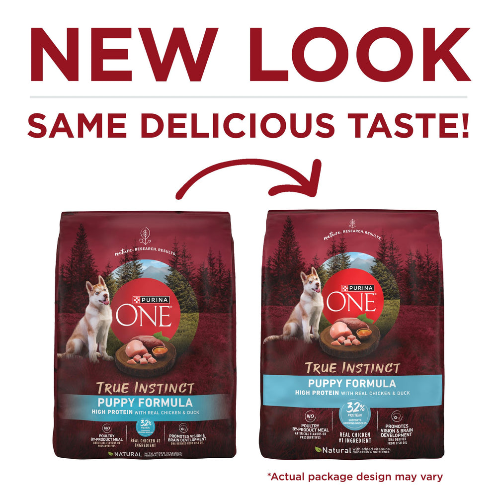 Purina ONE gros plan sur les morceaux meaty montrant appétence et protéines réelles