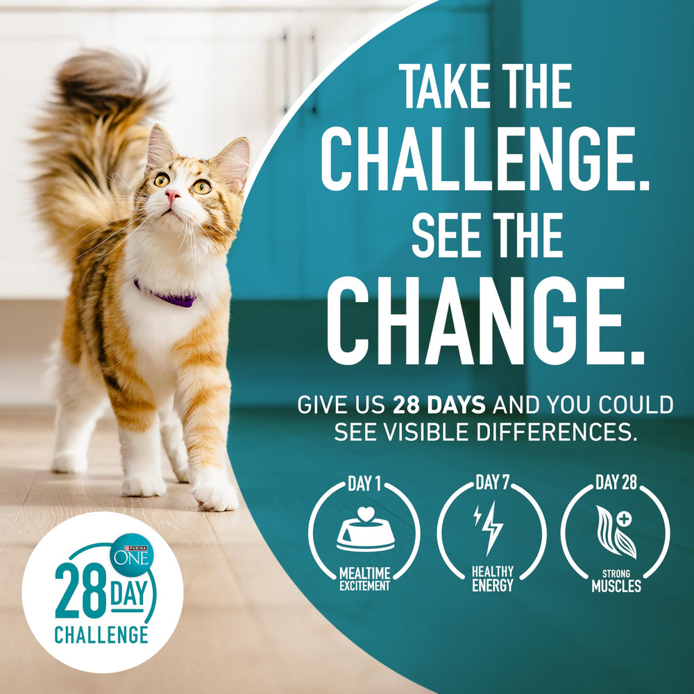 Purina ONE pelage brillant après alimentation pour peau saine