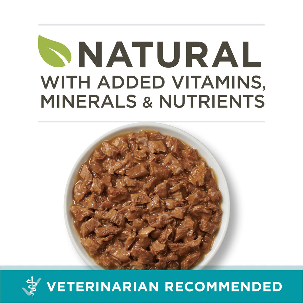 Purina ONE gros plan sur la texture floconneuse et attrait gustatif