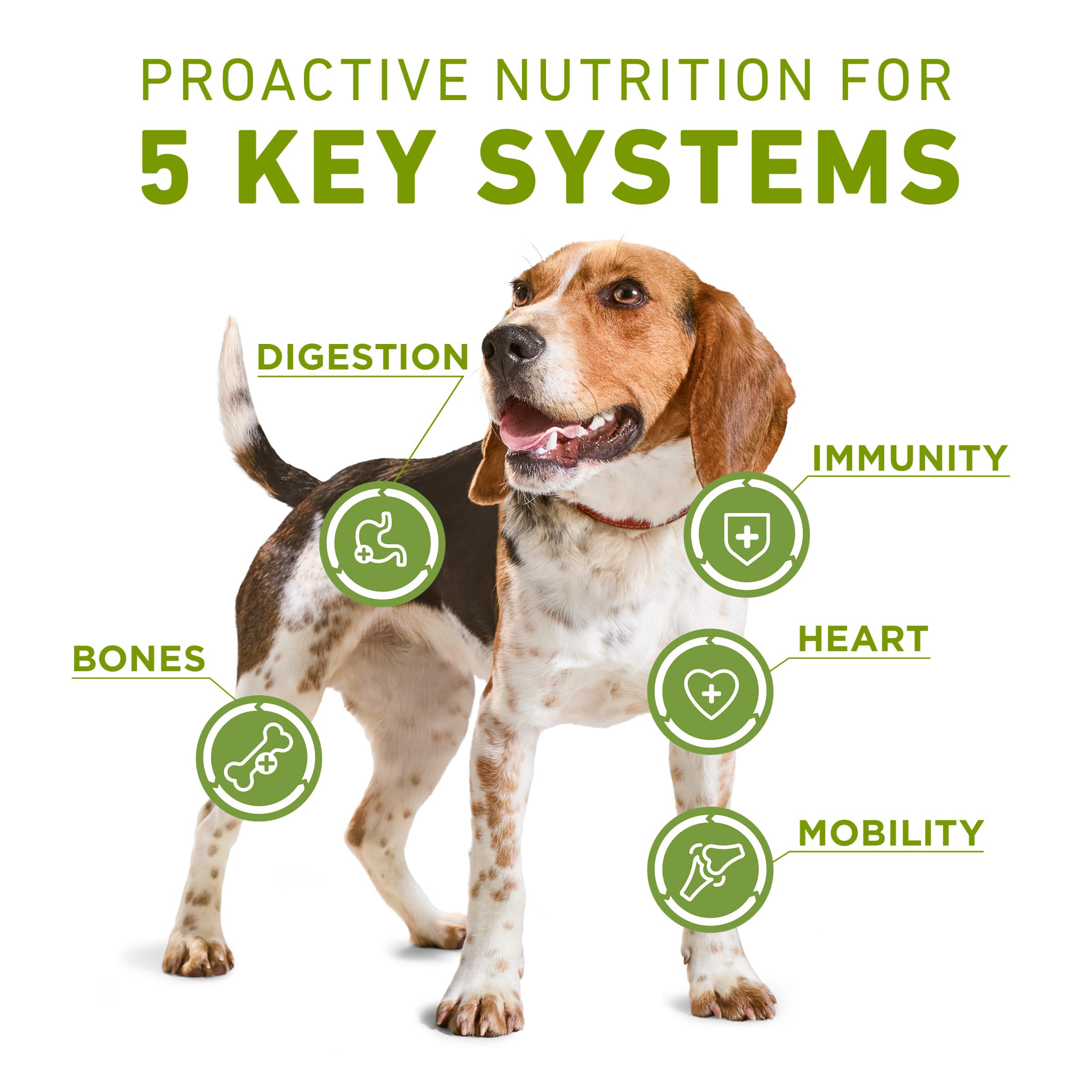 Purina ONE gros plan sur la texture montrant appétence et digestibilité