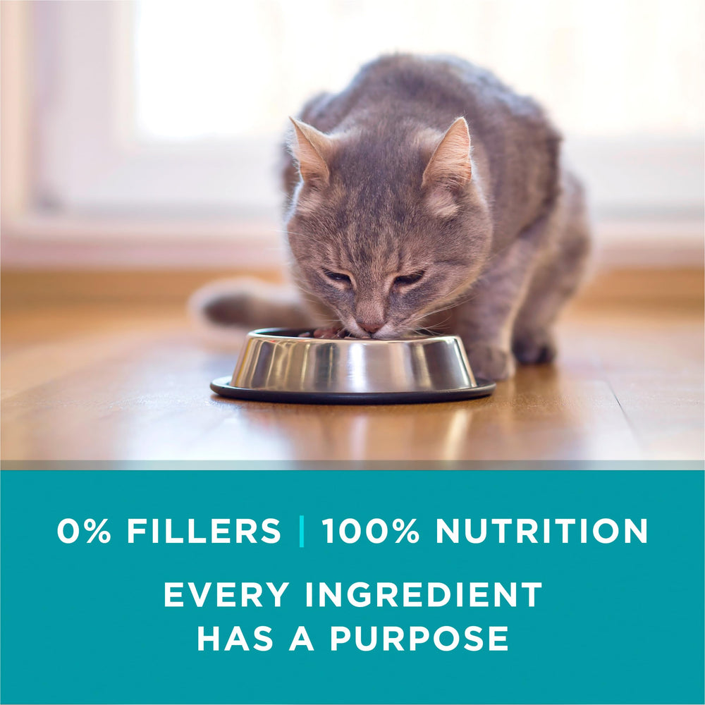 Purina ONE gros plan sur morceaux de thon vrai apporte protéines