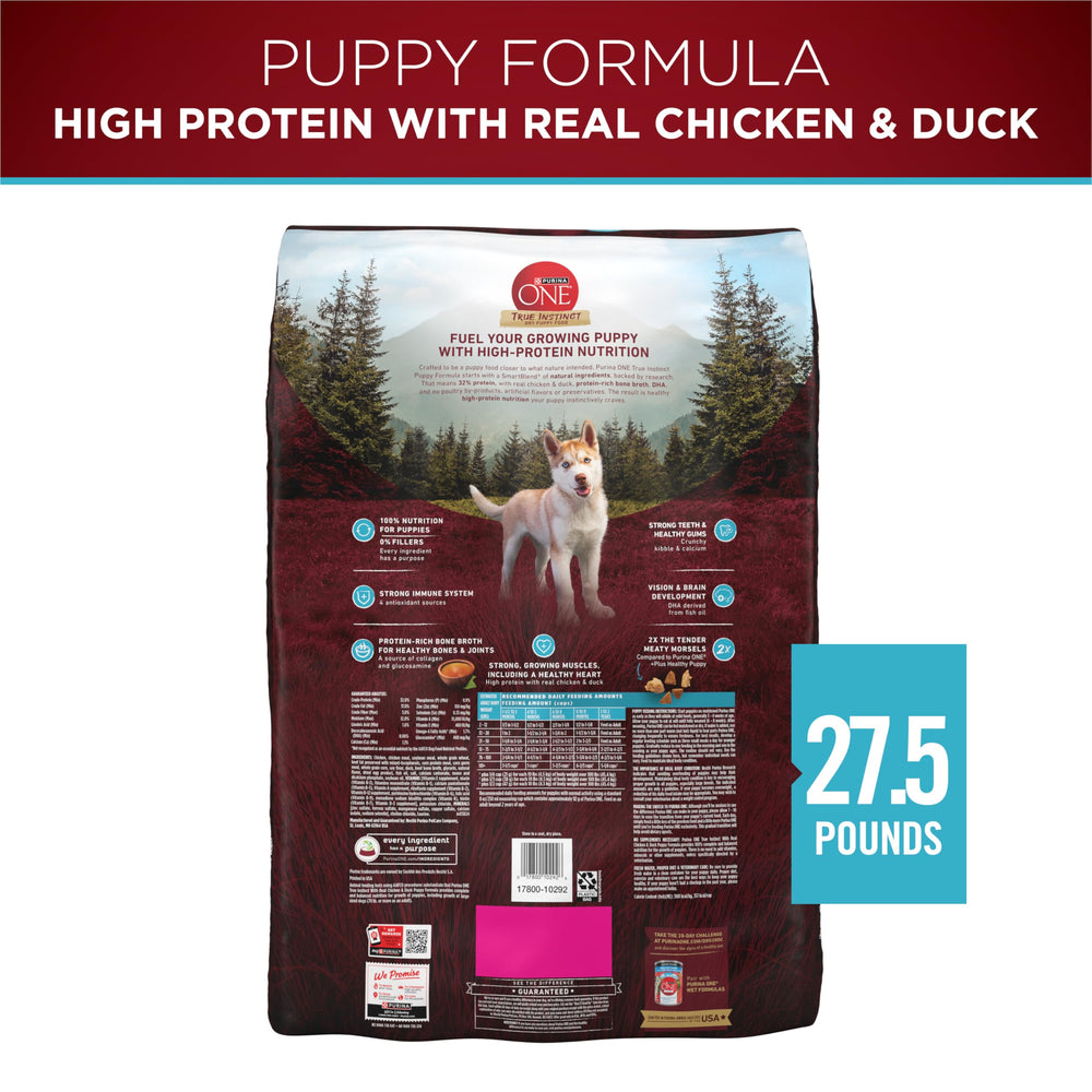 Purina ONE icône DHA et huile de poisson illustrée pour développement cérébral