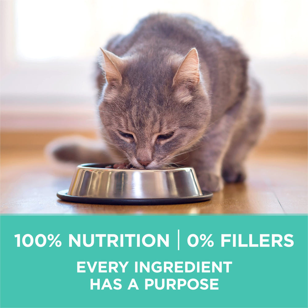 Purina ONE image conceptuelle des fibres prébiotiques, soutien digestif