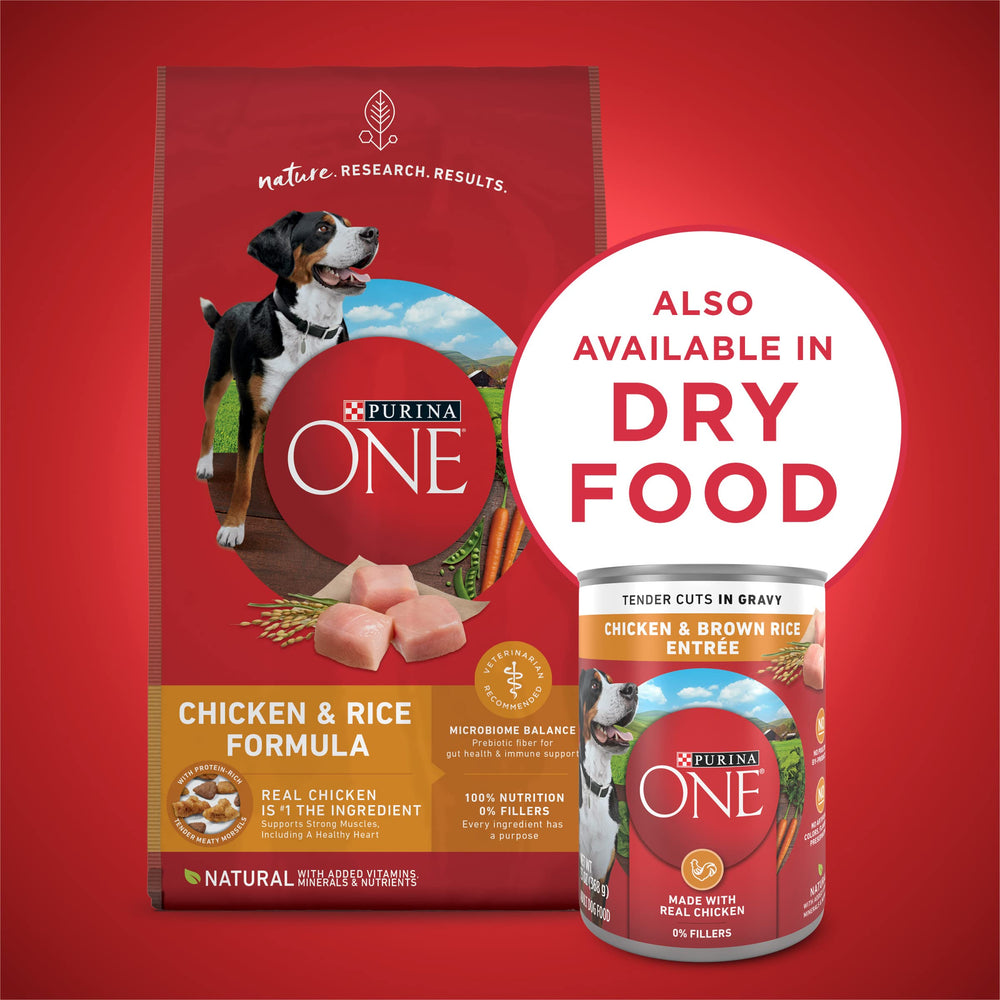 Purina ONE gros plan riz brun bénéfice glucides équilibrés