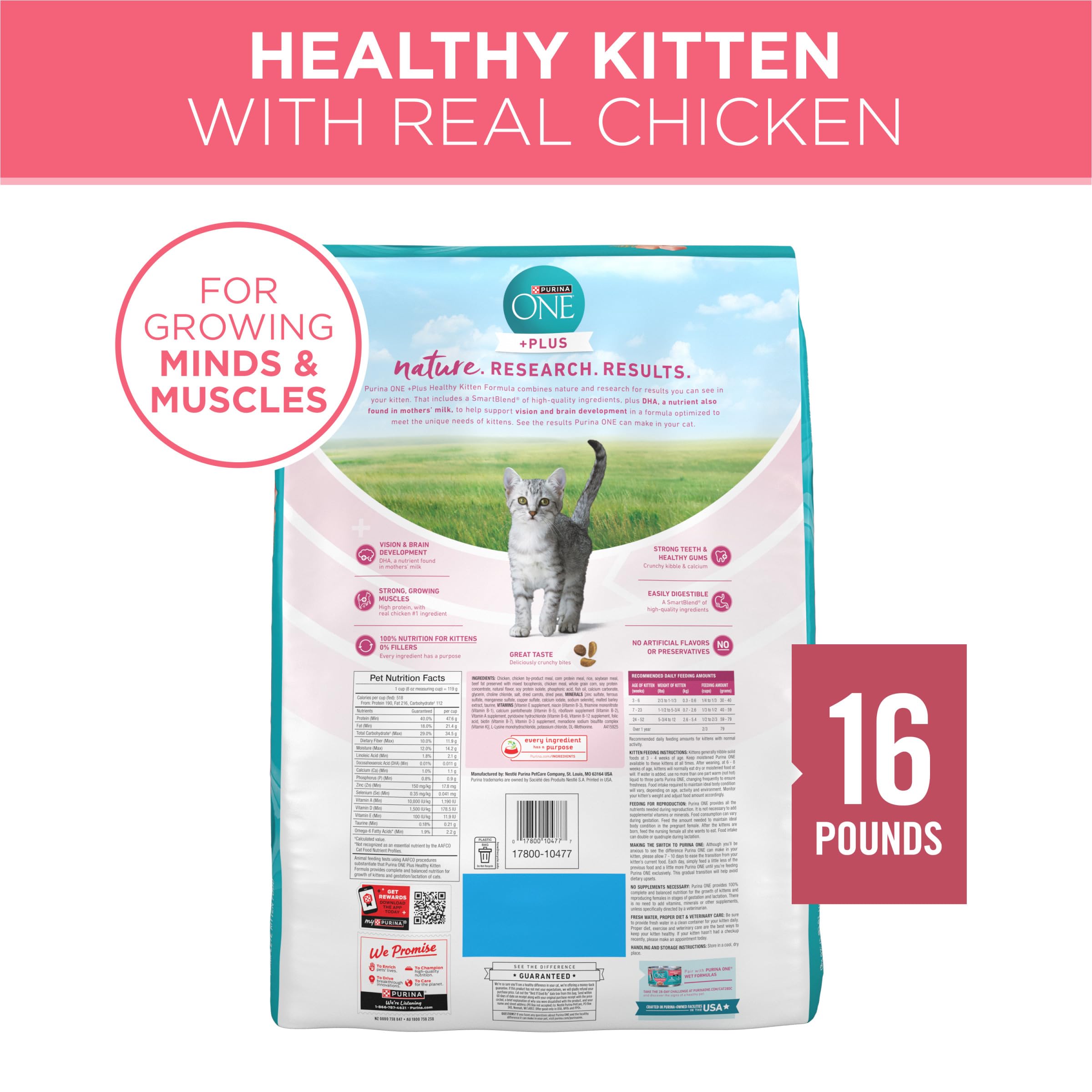 Scène de salon avec chaton heureux après repas Purina ONE pour bien-être domestique