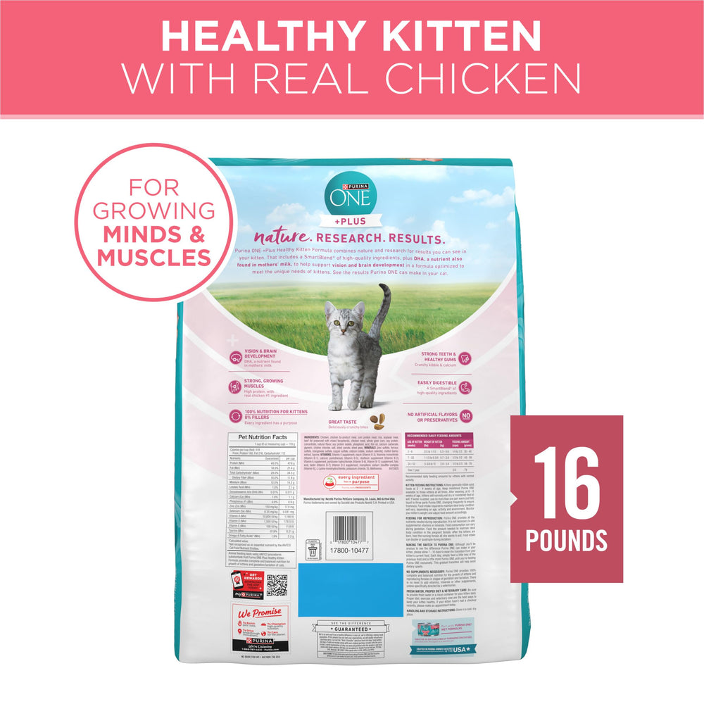 Scène de salon avec chaton heureux après repas Purina ONE pour bien-être domestique