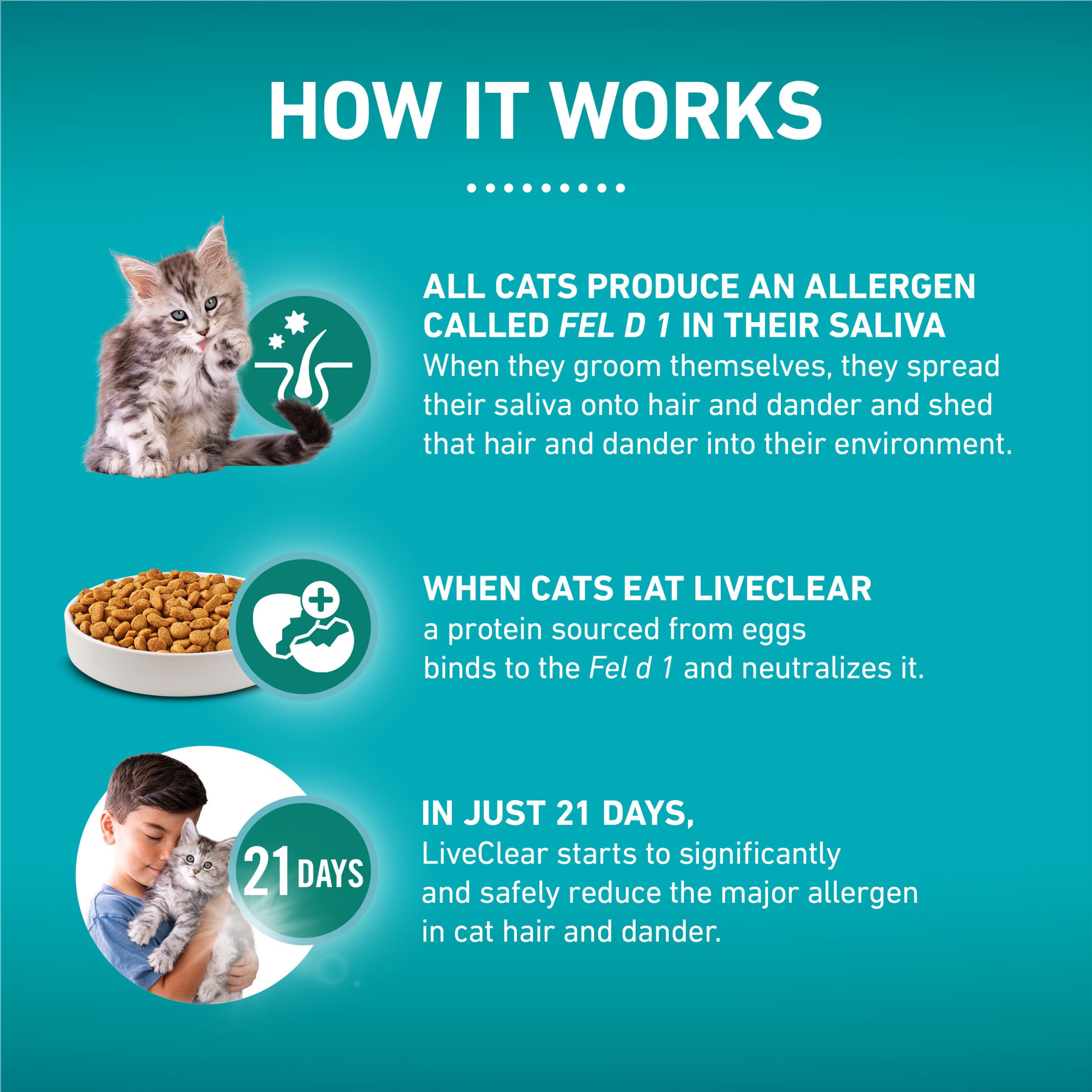 Purina ONE chaton mangeant la nourriture, favorise la socialisation et lien