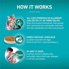 Purina ONE chaton mangeant la nourriture, favorise la socialisation et lien