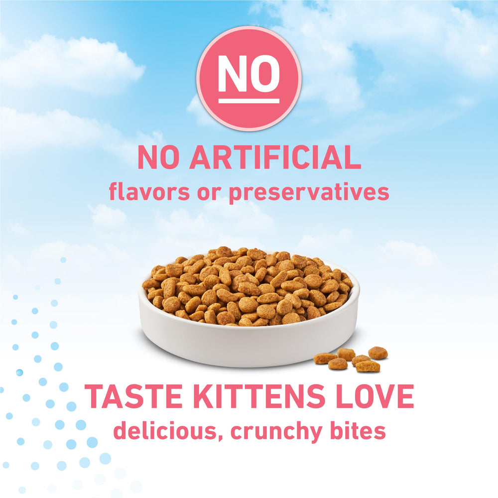 Purina ONE produit sur table de cuisine, suggère intégration au quotidien