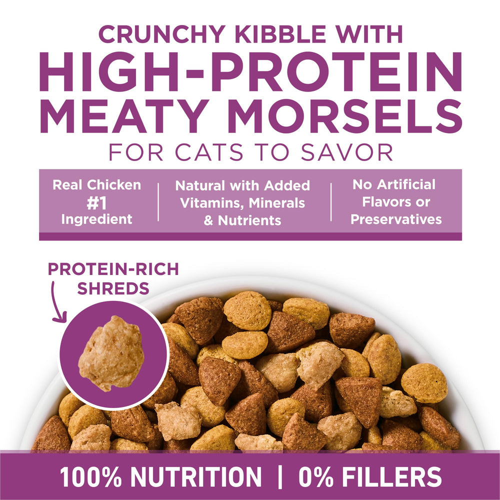 Purina ONE étiquette ingrédients pour clarté nutritionnelle