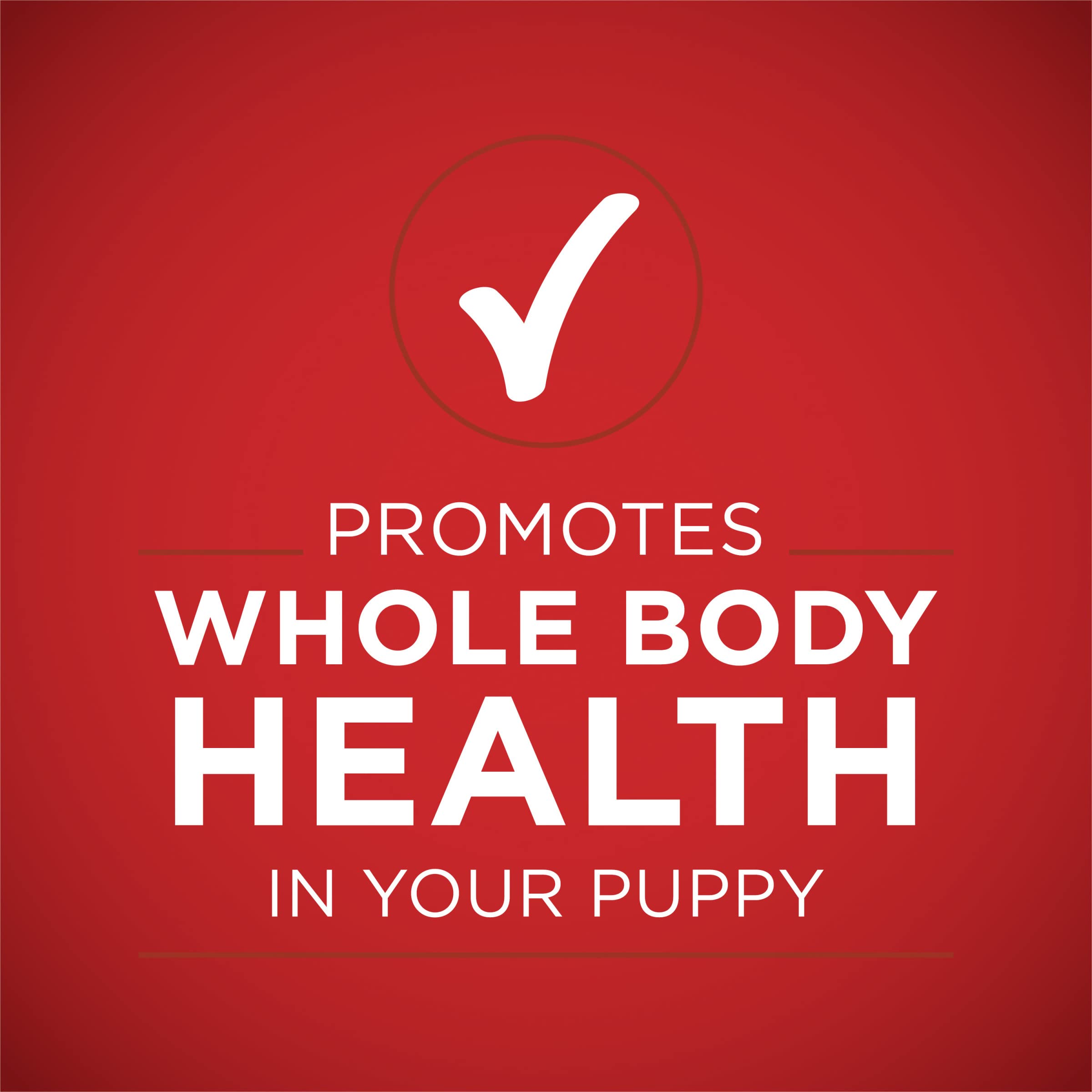 Purina ONE pack de 12 conserves, idéal pour approvisionnement régulier