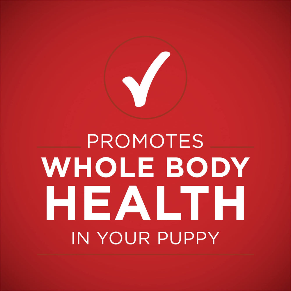 Purina ONE pack de 12 conserves, idéal pour approvisionnement régulier