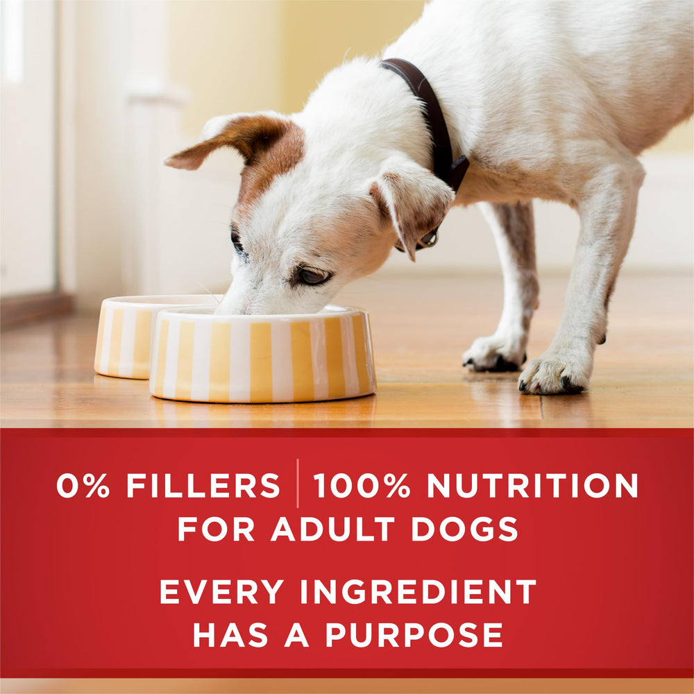Purina ONE pack de 12 boîtes pour stockage et usage quotidien pratique