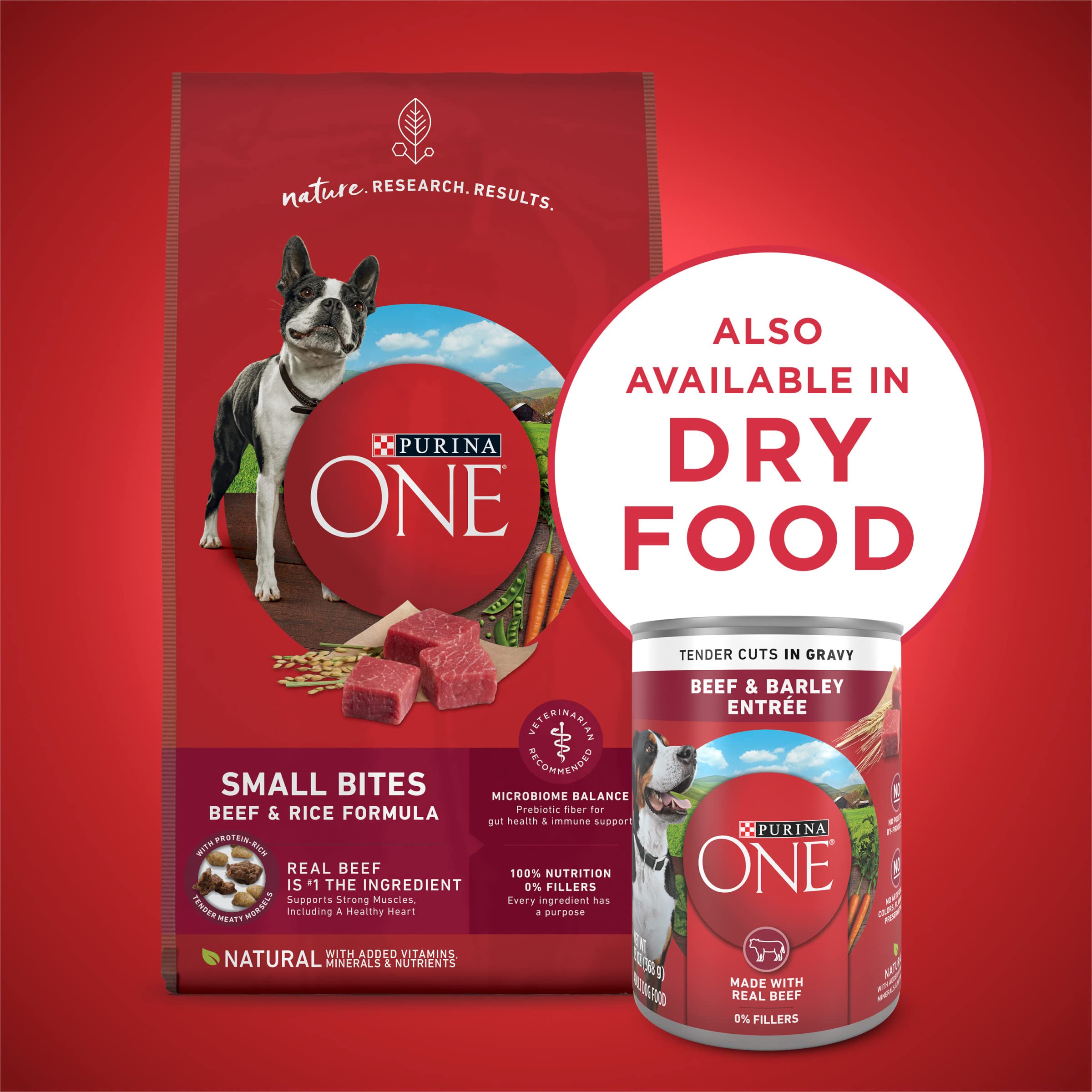 Purina ONE lot de 12 boîtes pour approvisionnement pratique à domicile