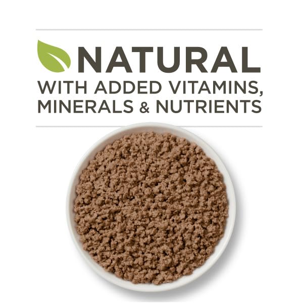Purina ONE pâtée servie dans une assiette, favorise hydratation