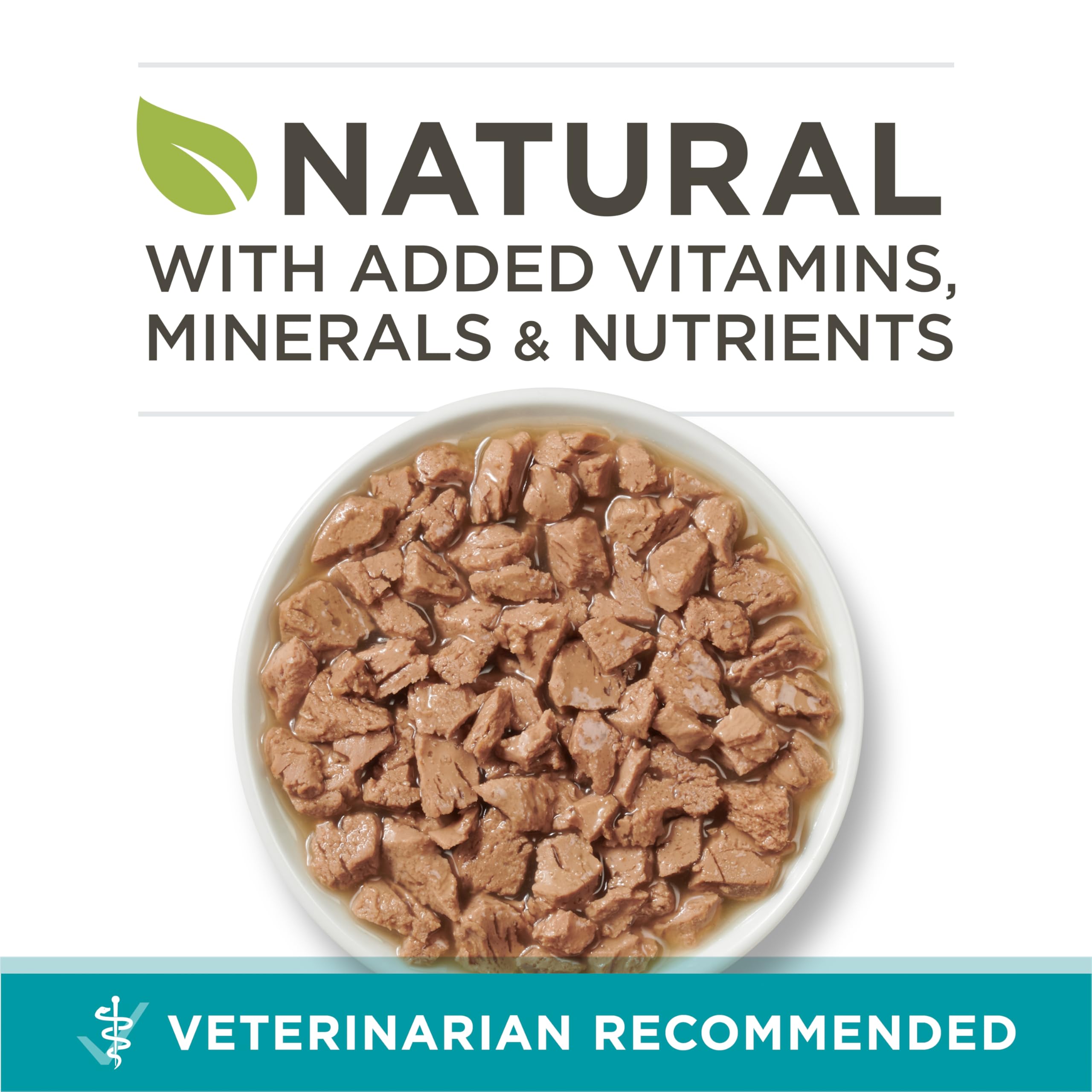 Purina ONE gros plan sur la texture montrant des morceaux appétissants, favorise l’acceptation