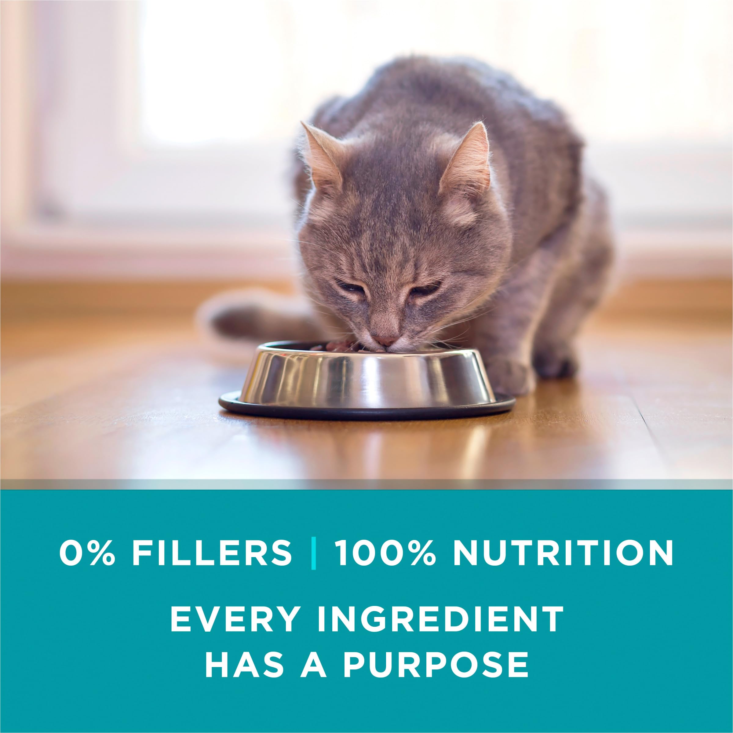 Purina ONE étiquette détaillée montrant ingrédients et informations nutritionnelles