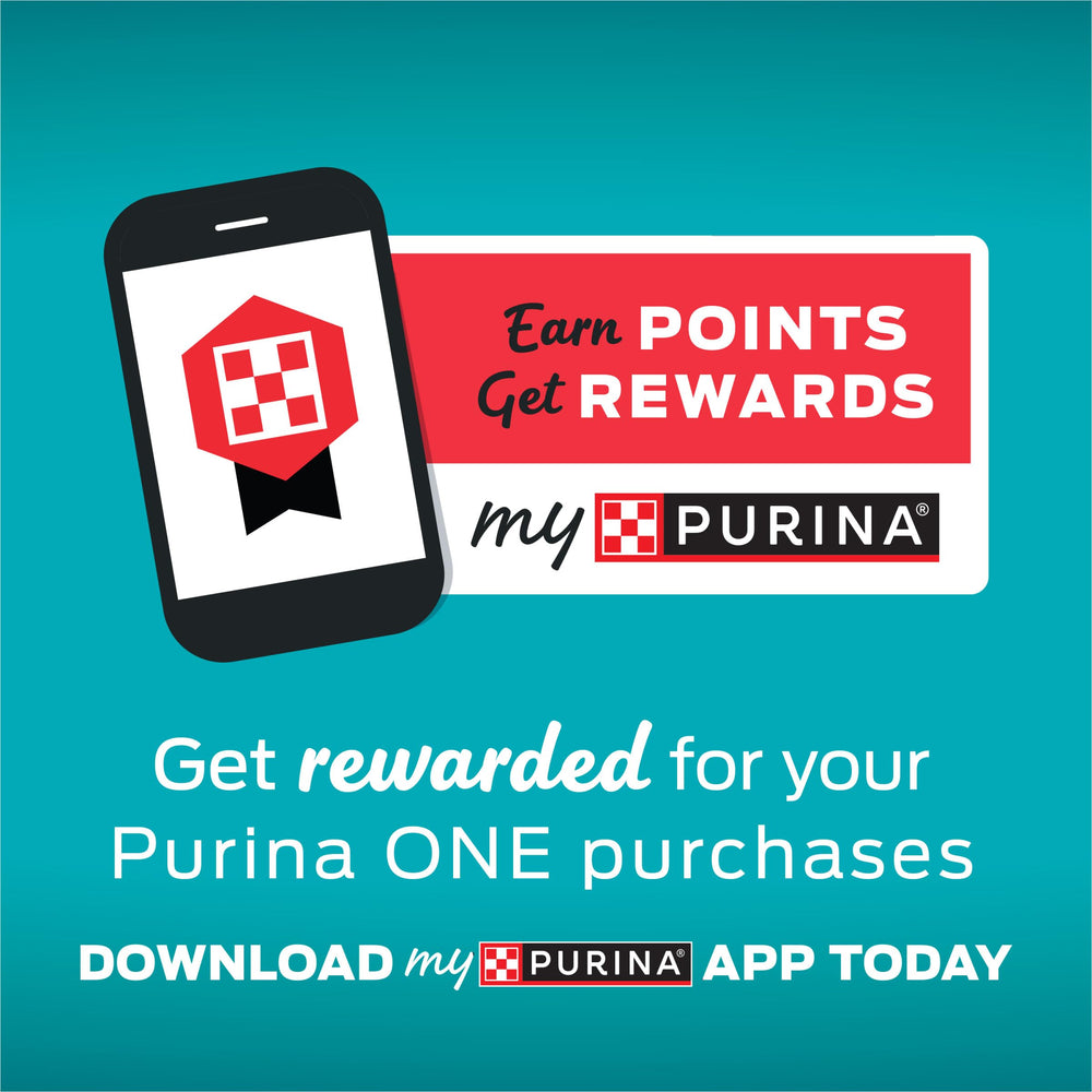 Purina ONE portion servie sur assiette, idéale pour contrôler la ration quotidienne