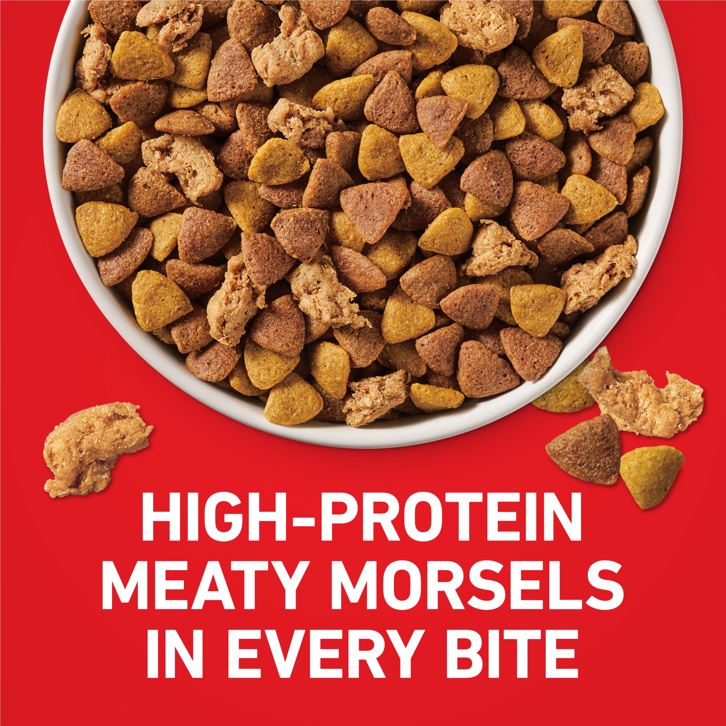 Purina ONE comparaison taille montrant échelle des croquettes pour digestion facile