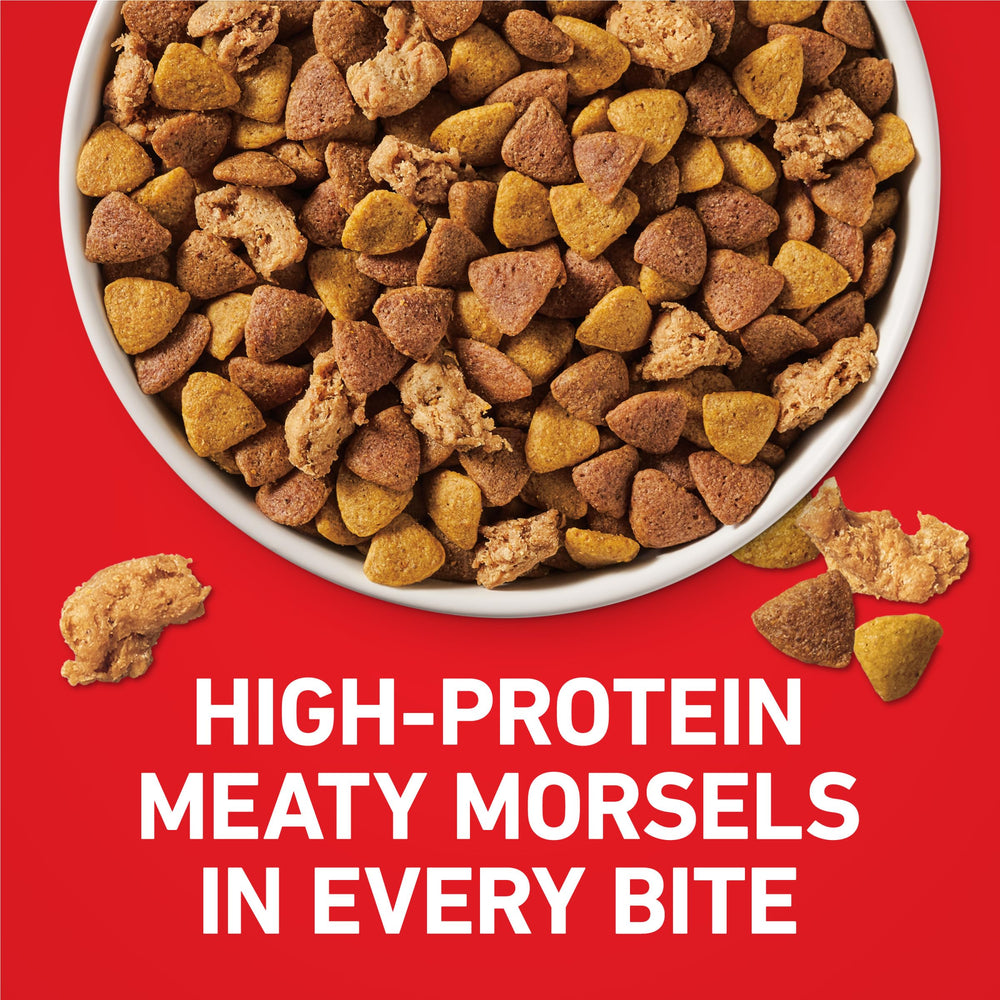Purina ONE comparaison taille montrant échelle des croquettes pour digestion facile