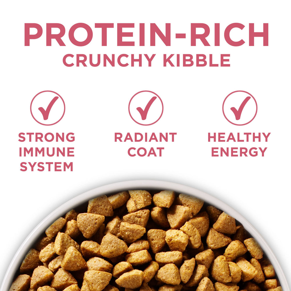 Purina ONE comparaison taille croquette pour compréhension de l'échelle
