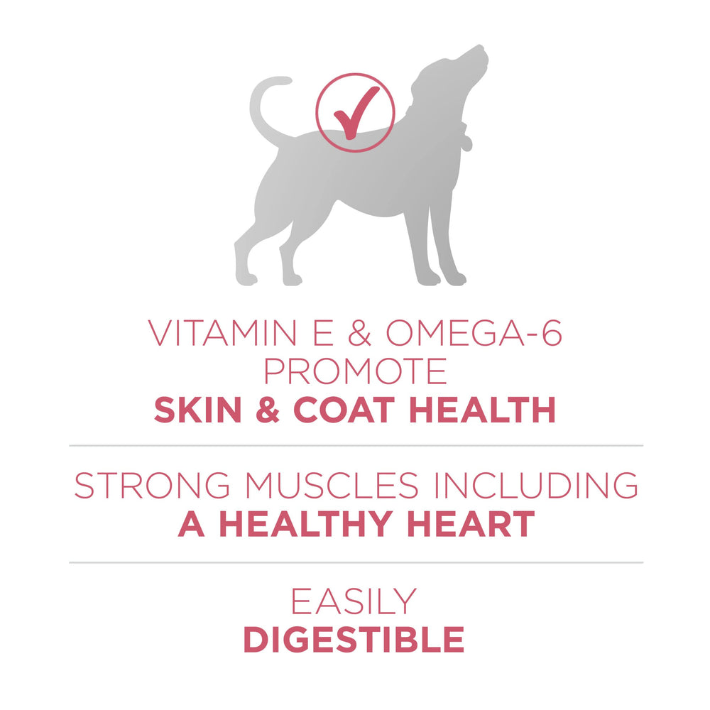 Purina ONE détail saumon réel illustrant protéine de haute qualité