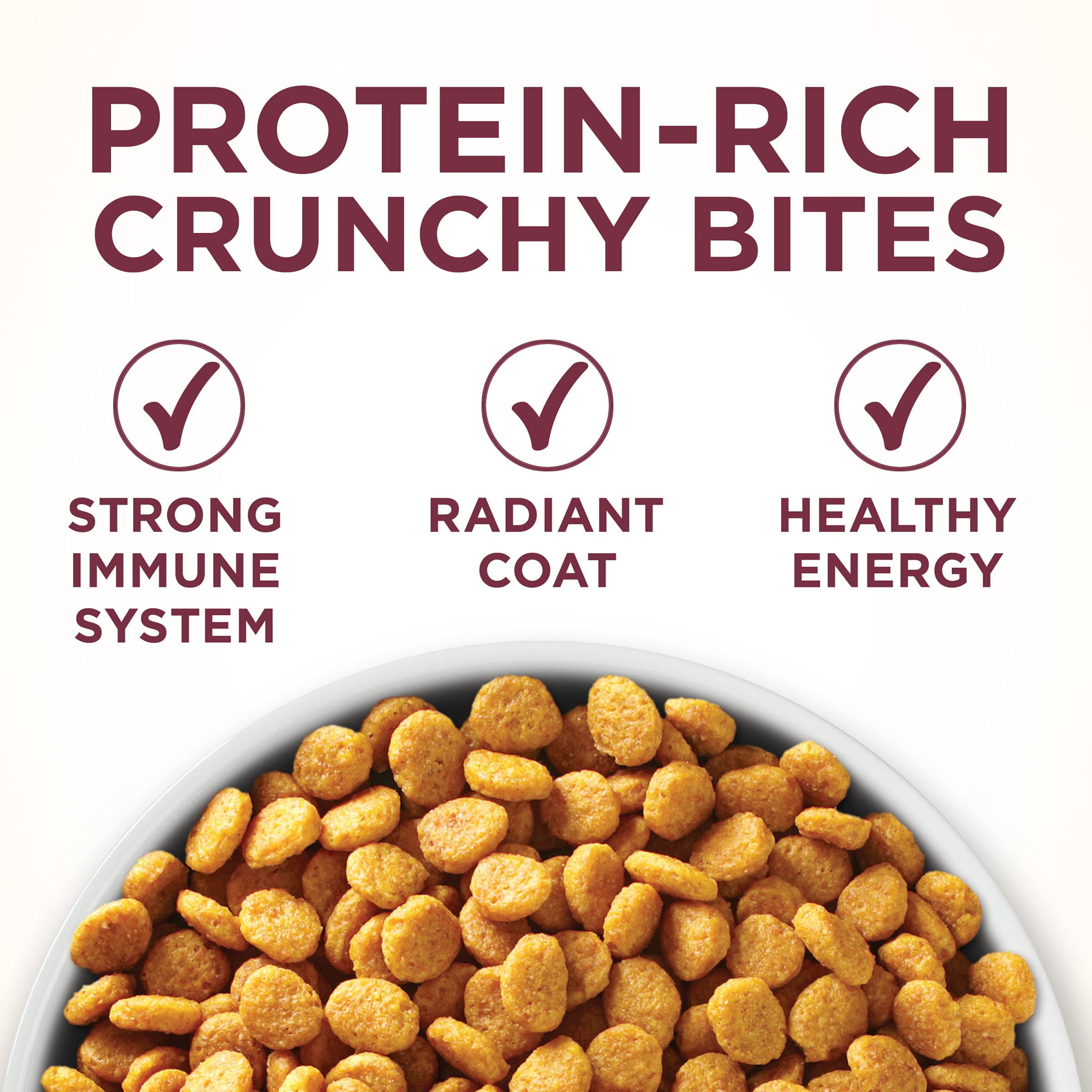 Purina ONE bol sur table avec chat mangeant pour un repas appétent
