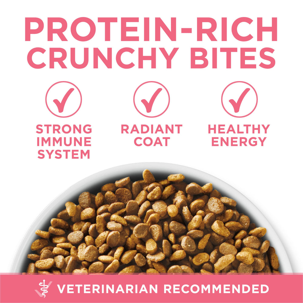 Purina ONE comparaison d'échelle du sac 3,5 lb pour visualiser la taille