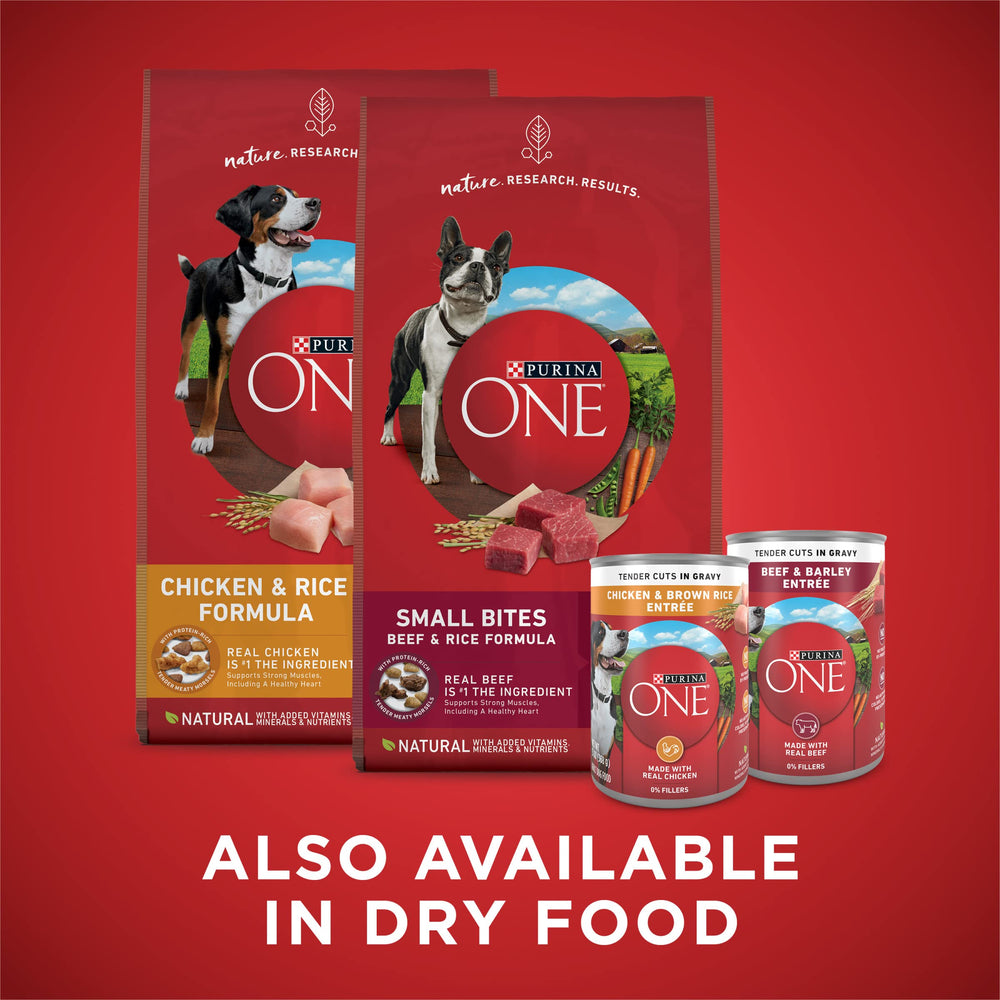 Purina ONE plat avant-après mélange croquettes et pâtée montrant appétence améliorée