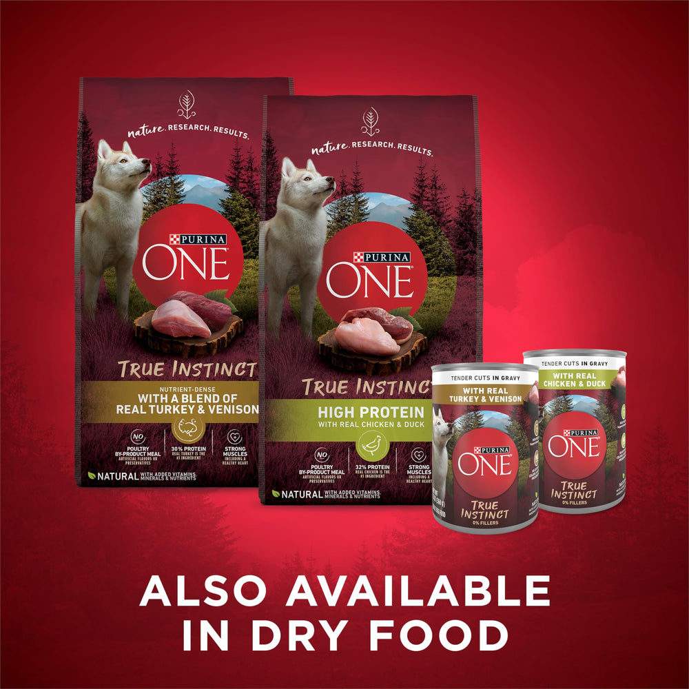 Purina ONE en contexte de table démontrant service facile et aspect convivial