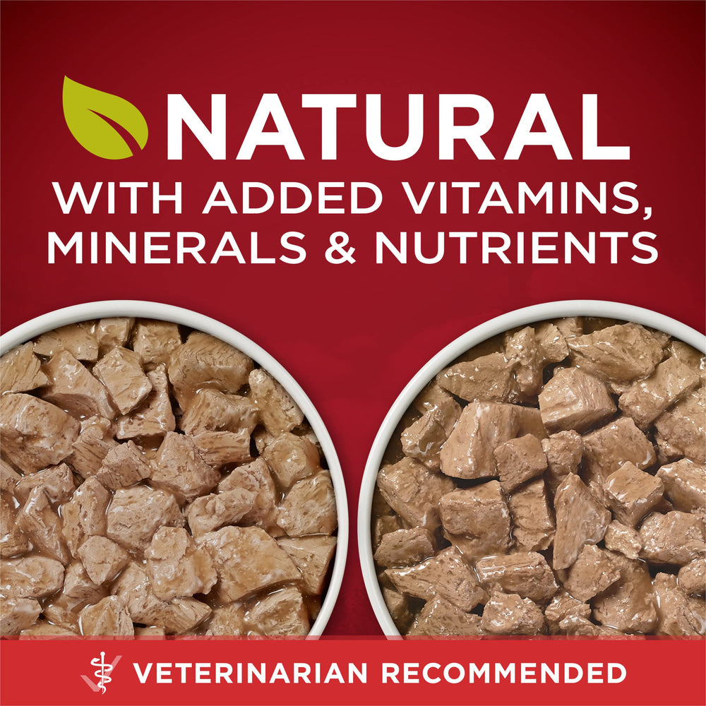 Purina ONE gros plan sur la texture tendre montrant appétence et qualité