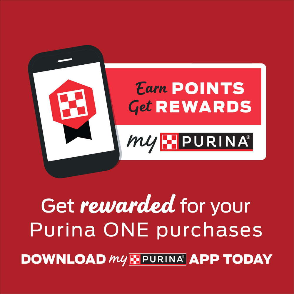 Purina ONE texture de la pâtée onctueuse favorisant ingestion et hydratation