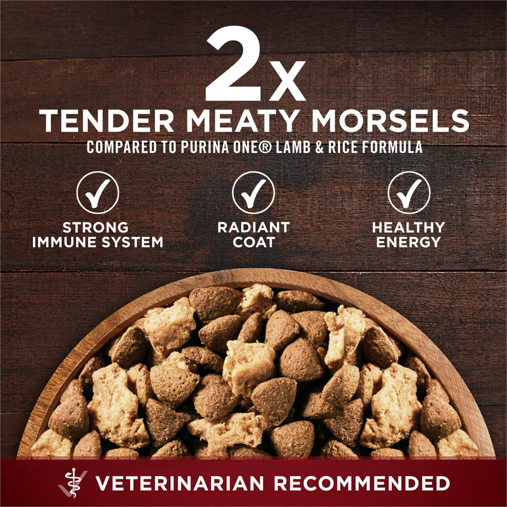Purina ONE étiquette nutrition détaillée montrant 32% protéines et ingrédients clés