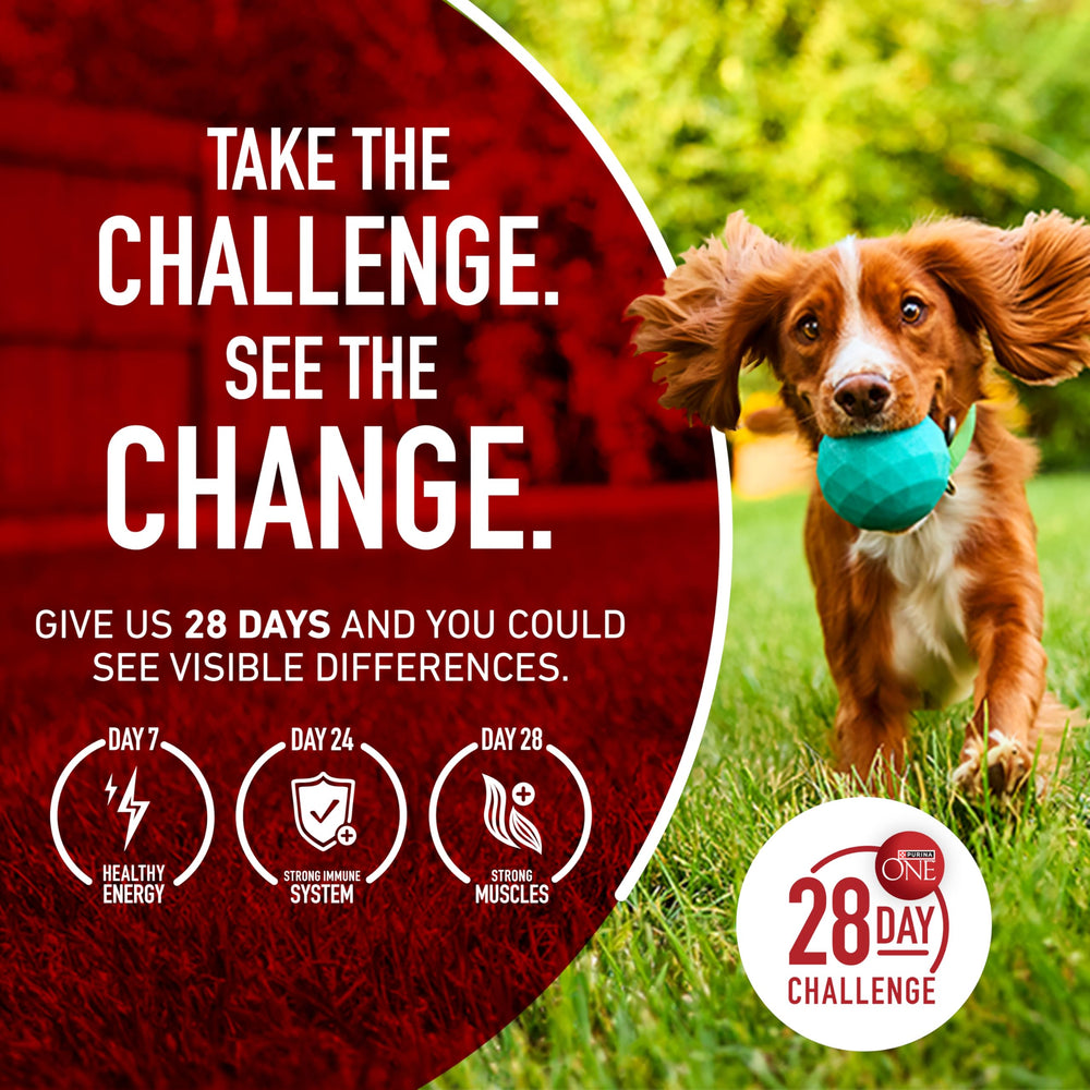 Purina ONE zoom sur glucosamine mettant en avant le soutien articulaire
