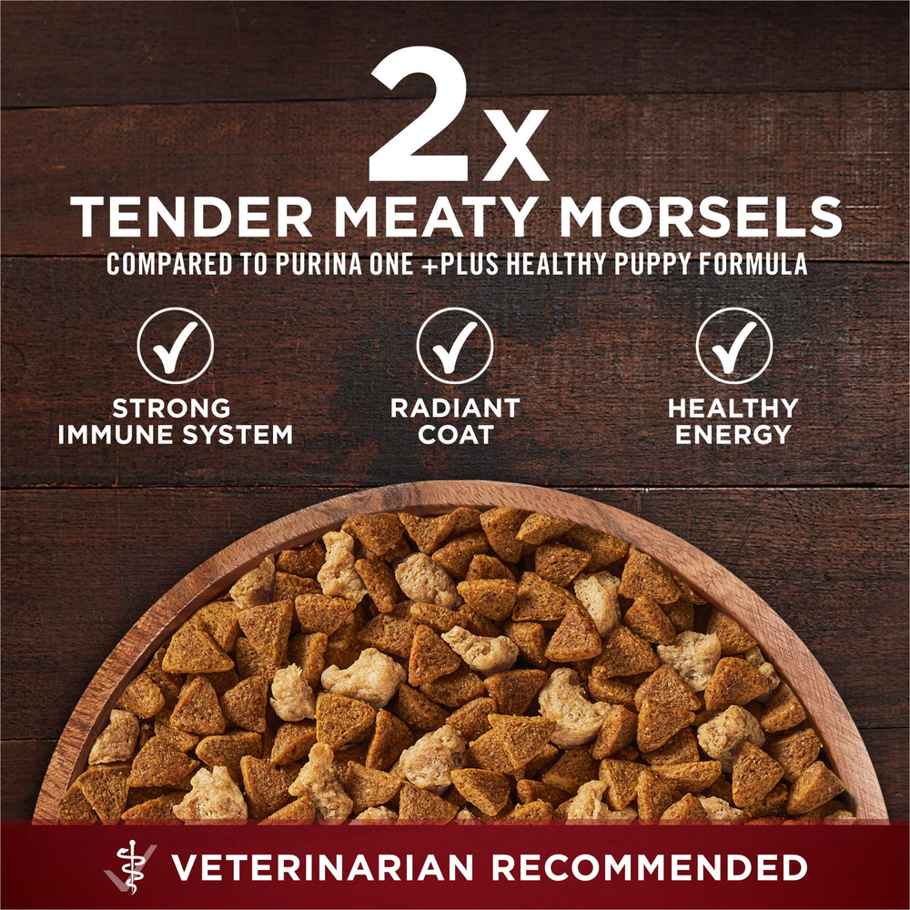 Purina ONE ingrédients poulet et canard mis en scène montrant protéines naturelles