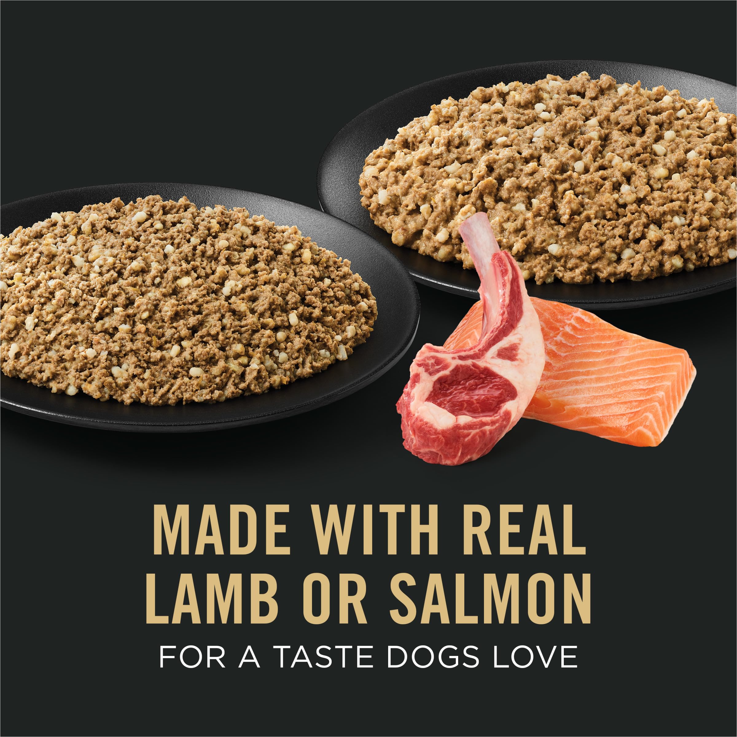 Purina Pro Plan pâtée servie dans une assiette, pratique et appétissante pour chien