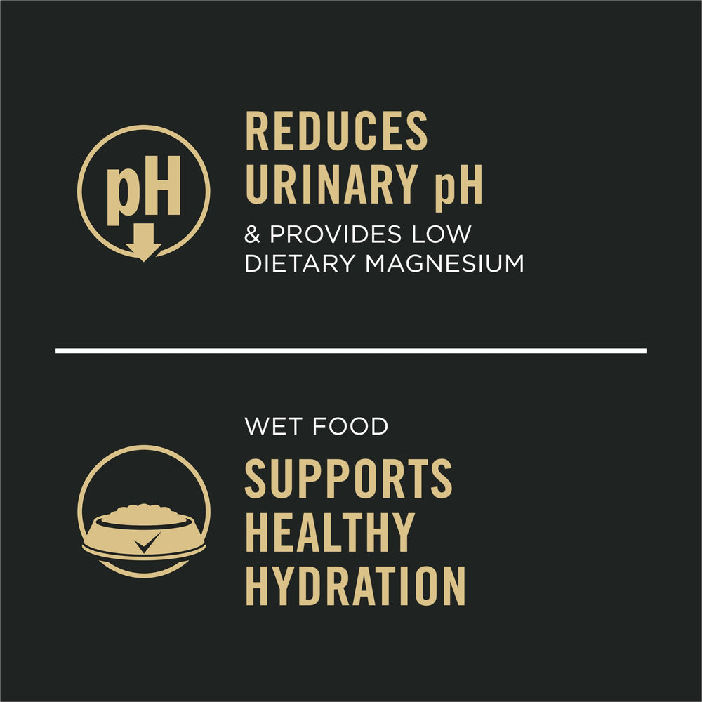 Purina Pro Plan bol servi pour encourager hydratation et appétit du chat